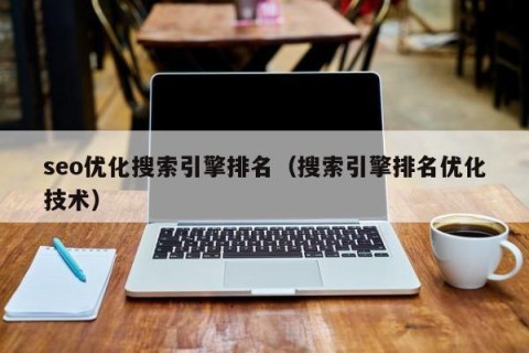 seo优化搜索引擎排名（搜索引擎排名优化技术）