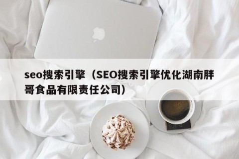 seo搜索引擎（SEO搜索引擎优化湖南胖哥食品有限责任公司）