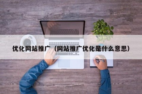 优化网站推广（网站推广优化是什么意思）