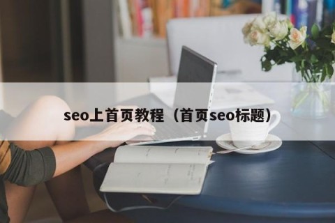 seo上首页教程（首页seo标题）