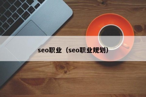 seo职业（seo职业规划）