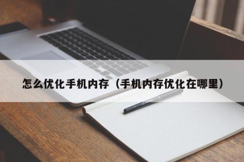 怎么优化手机内存（手机内存优化在哪里）