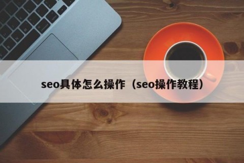 seo具体怎么操作（seo操作教程）