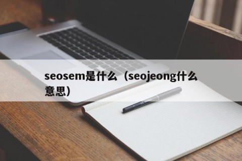 seosem是什么（seojeong什么意思）