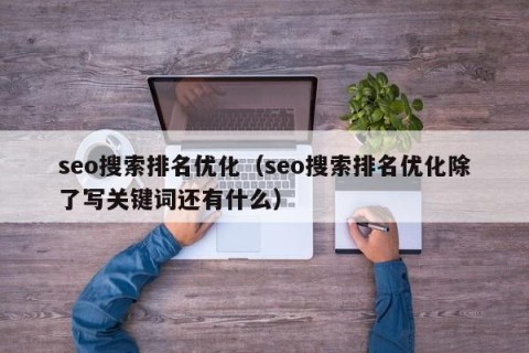 seo搜索排名优化（seo搜索排名优化除了写关键词还有什么）