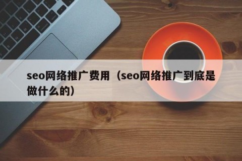 seo网络推广费用（seo网络推广到底是做什么的）