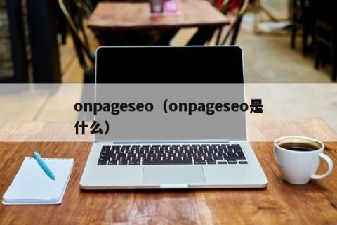 onpageseo（onpageseo是什么）