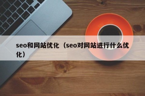 seo和网站优化（seo对网站进行什么优化）