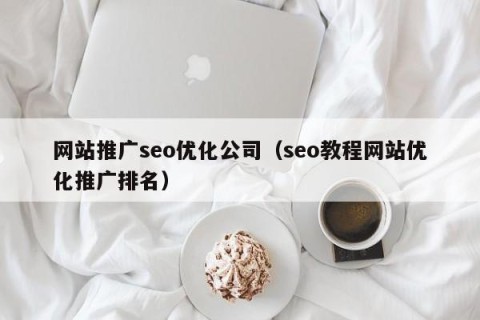 网站推广seo优化公司（seo教程网站优化推广排名）
