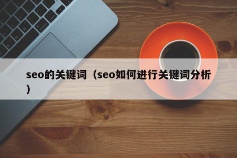 seo的关键词（seo如何进行关键词分析）