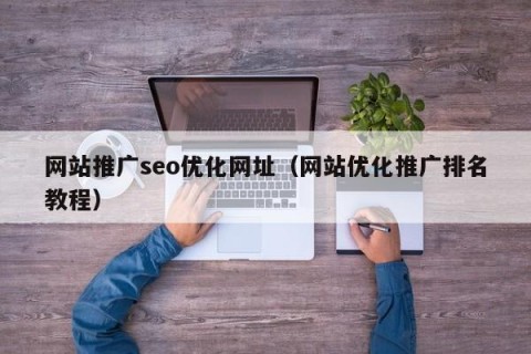 网站推广seo优化网址（网站优化推广排名教程）