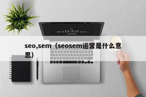 seo,sem（seosem运营是什么意思）