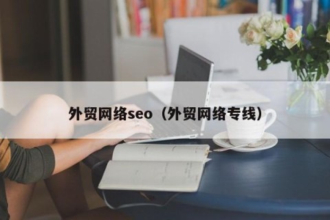 外贸网络seo（外贸网络专线）