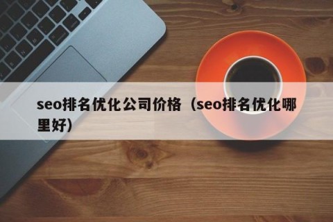 seo排名优化公司价格（seo排名优化哪里好）