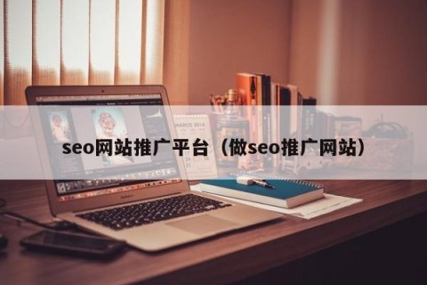 seo网站推广平台（做seo推广网站）
