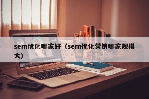 sem优化哪家好（sem优化营销哪家规模大）