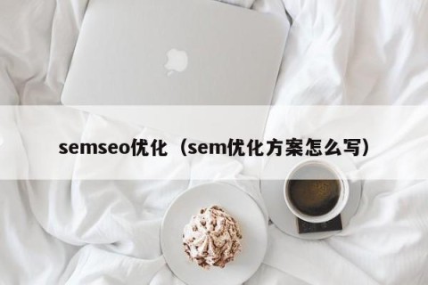 semseo优化（sem优化方案怎么写）