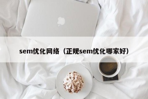 sem优化网络（正规sem优化哪家好）