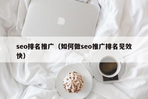 seo排名推广（如何做seo推广排名见效快）