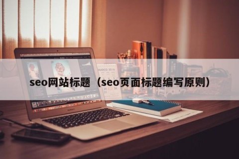 seo网站标题（seo页面标题编写原则）