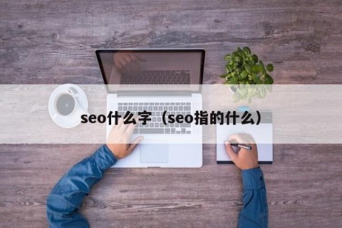 seo什么字（seo指的什么）