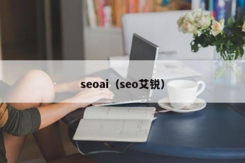 seoai（seo艾锐）
