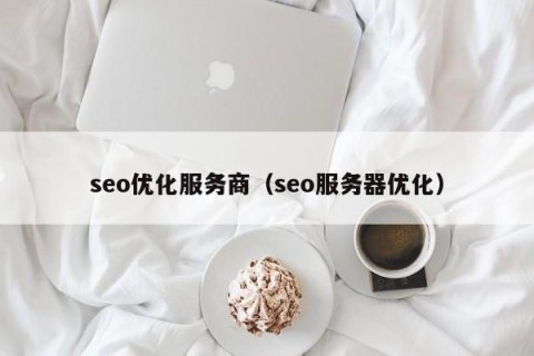 seo优化服务商（seo服务器优化）