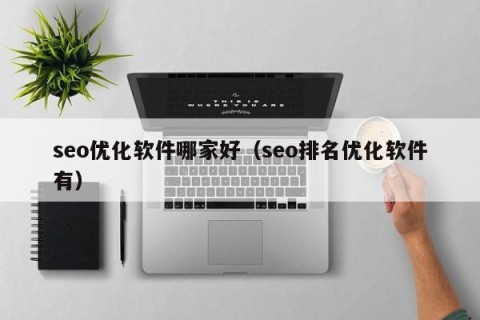 seo优化软件哪家好（seo排名优化软件有）
