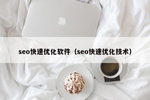 seo快速优化软件（seo快速优化技术）