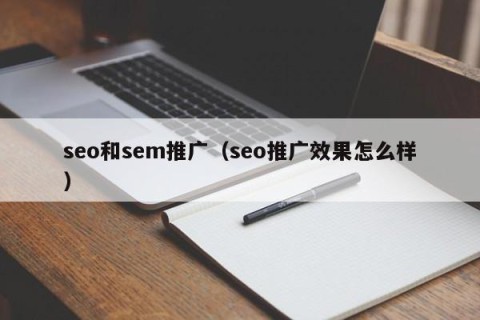 seo和sem推广（seo推广效果怎么样）