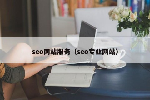 seo网站服务（seo专业网站）