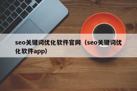 seo关键词优化软件官网（seo关键词优化软件app）