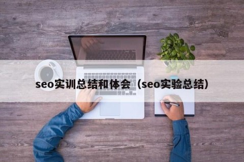 seo实训总结和体会（seo实验总结）