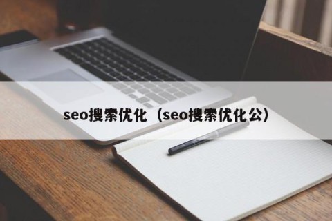 seo搜索优化（seo搜索优化公）
