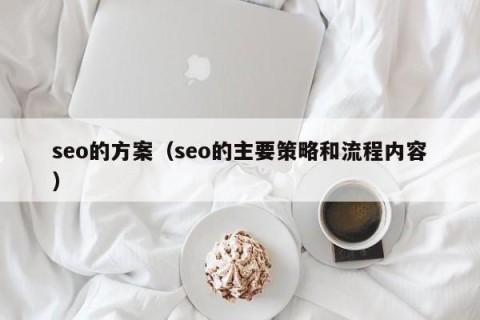seo的方案（seo的主要策略和流程内容）