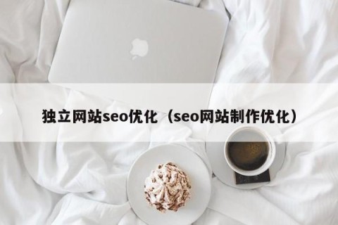 独立网站seo优化（seo网站制作优化）
