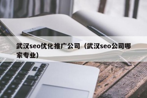 武汉seo优化推广公司（武汉seo公司哪家专业）