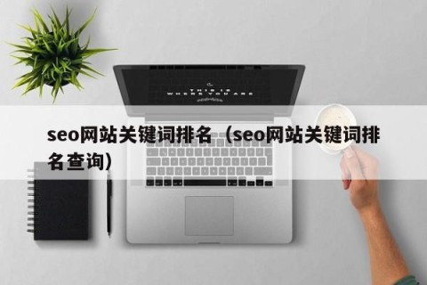 seo网站关键词排名（seo网站关键词排名查询）