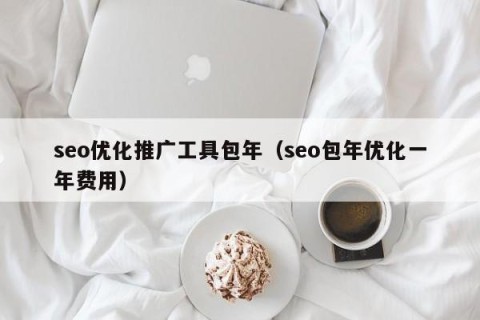 seo优化推广工具包年（seo包年优化一年费用）