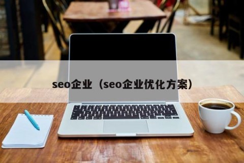 seo企业（seo企业优化方案）