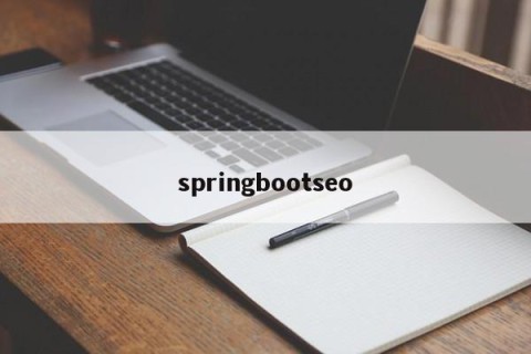 springbootseo