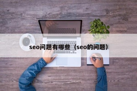 seo问题有哪些（seo的问题）