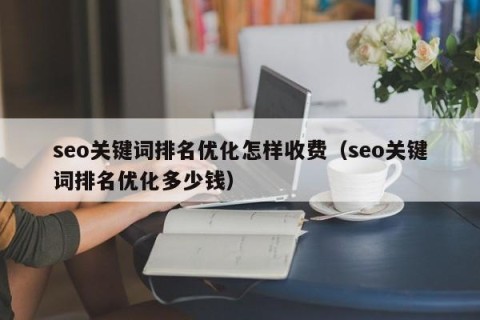 seo关键词排名优化怎样收费（seo关键词排名优化多少钱）