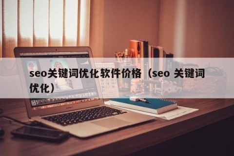 seo关键词优化软件价格（seo 关键词优化）