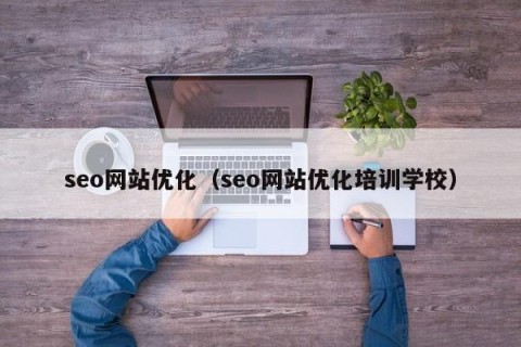 seo网站优化（seo网站优化培训学校）