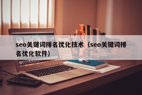 seo关键词排名优化技术（seo关键词排名优化软件）