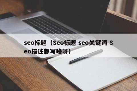 seo标题（Seo标题 seo关键词 Seo描述都写啥呀）