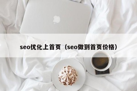 seo优化上首页（seo做到首页价格）