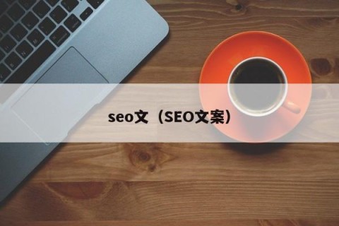 seo文（SEO文案）