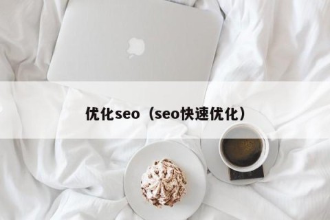 优化seo（seo快速优化）